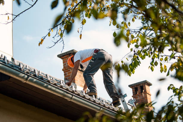 Sealant for Roof in De Soto, KS