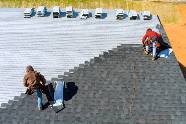 Best Metal Roofing Contractor  in De Soto, KS