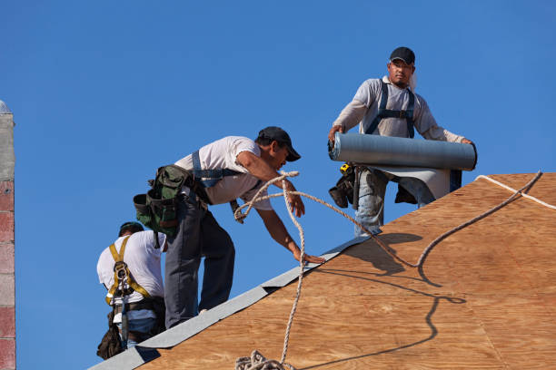 Best Roof Maintenance Services  in De Soto, KS