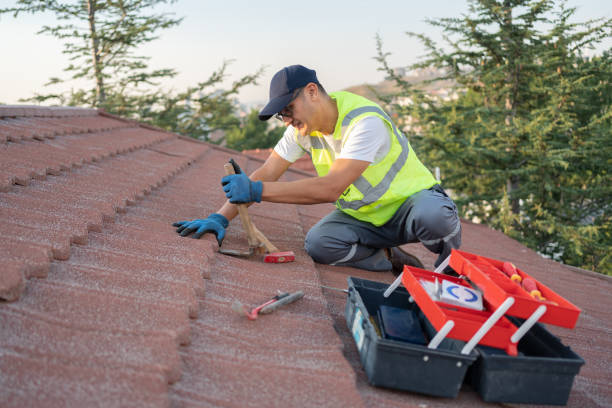 Best Roof Replacement Cost  in De Soto, KS